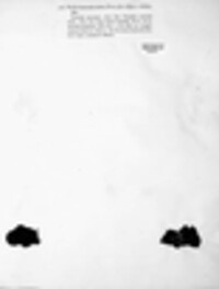Auricularia auricula-judae image